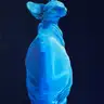 Jagoda Laprus. 80x60cm. Figurative hyperrealistic oil painting with a seated blue Canadian sphynx cat looking upward