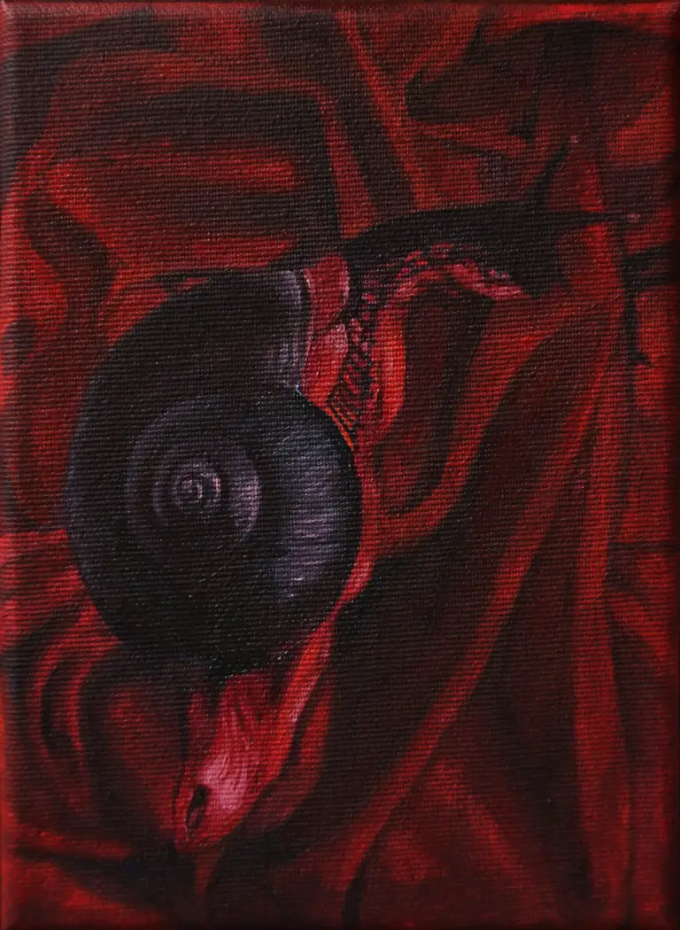 Jagoda Laprus. Obraz olejny 18x13cm. Czerwony ślimak z czarną muszlą na pogiętej bordowej satynie