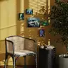 Interior visualization with a yellow wall and a composition of small female nude paintings surrounded by plants