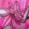 Jagoda Laprus. Oil painting 30x30cm. Nude, young art, showing a leaning woman partially obscured by pink flowers