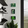 alts.content_projects_13x18_B__B9_B3_B5_B9_jpg