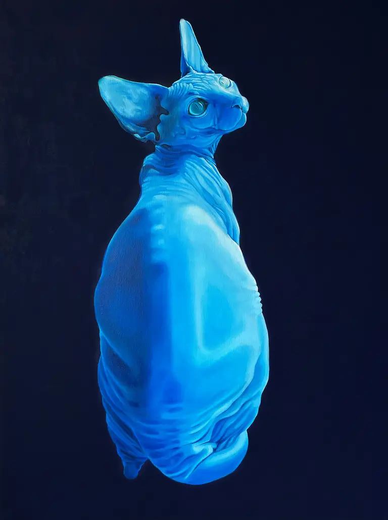 Jagoda Laprus. 80x60cm. Figuratywny hiperrealistyczny obraz olejny z siedzącym niebieskim sfinksem kanadyjskim patrzącym w górę